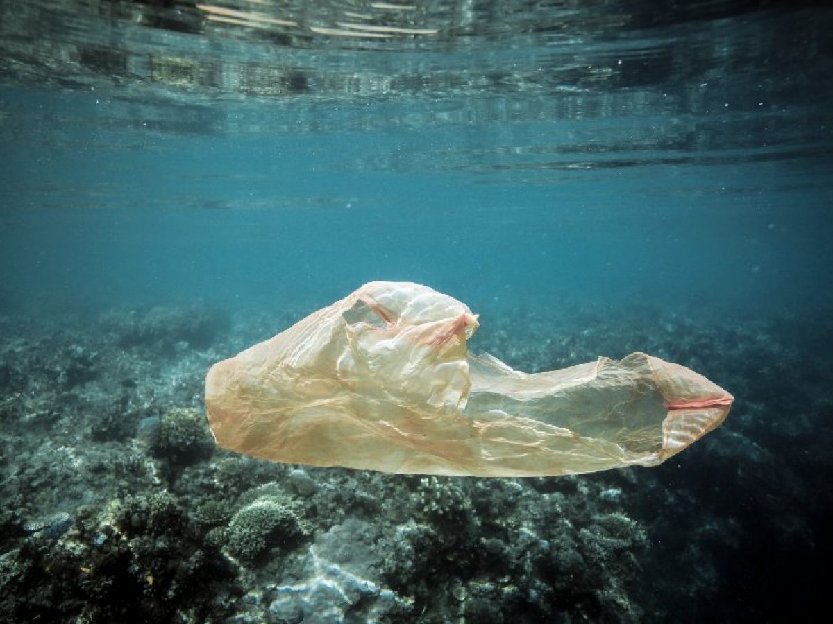 Contaminación ambiental: impacto de tus actos | Manos Verdes Contaminación ambiental: impacto de tus actos | Manos Verdes