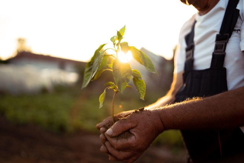 Sostenibilidad ambiental: esencial para tu empresa