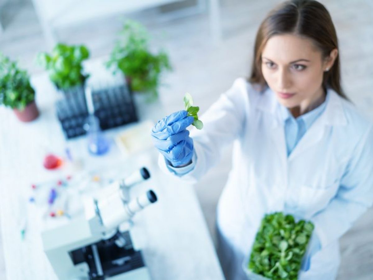 https://www.manosverdes.co/wp-content/uploads/2020/10/biotecnologia-imagen-destacada-1200x900.jpg