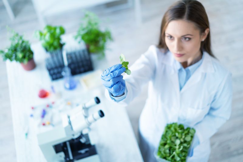 Biotecnología: su impacto en la industria alimentaria