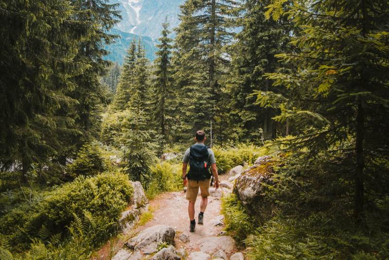 Caminatas ecológicas: descubre la riqueza de Colombia