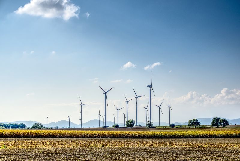 Fuentes de energías renovables: ¿qué debes saber?