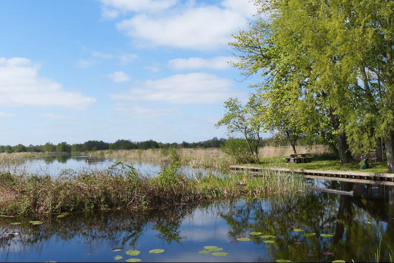 Protección del medio ambiente: pongámonos en acción