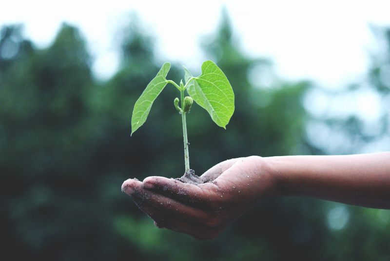 Causas del cambio climático: ¿qué hacer desde casa?