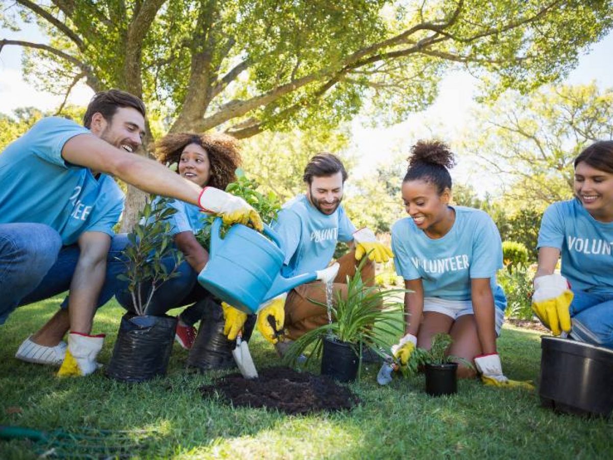 Máster Oficial en Educación Ambiental para la Sostenibilidad