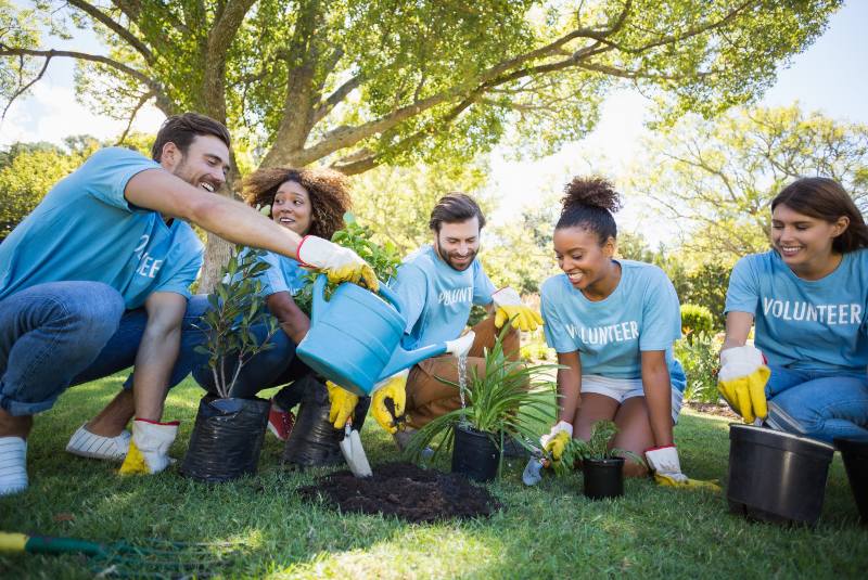 Actividades ambientales para divertirse en familia