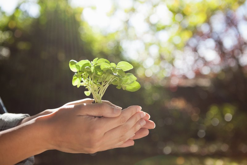 Cultura ambiental: 5 claves para aplicarla en tu empresa