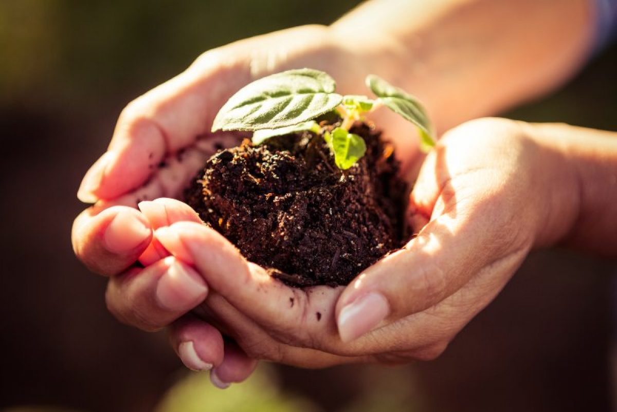 Maestría en Ciencias Ambientales