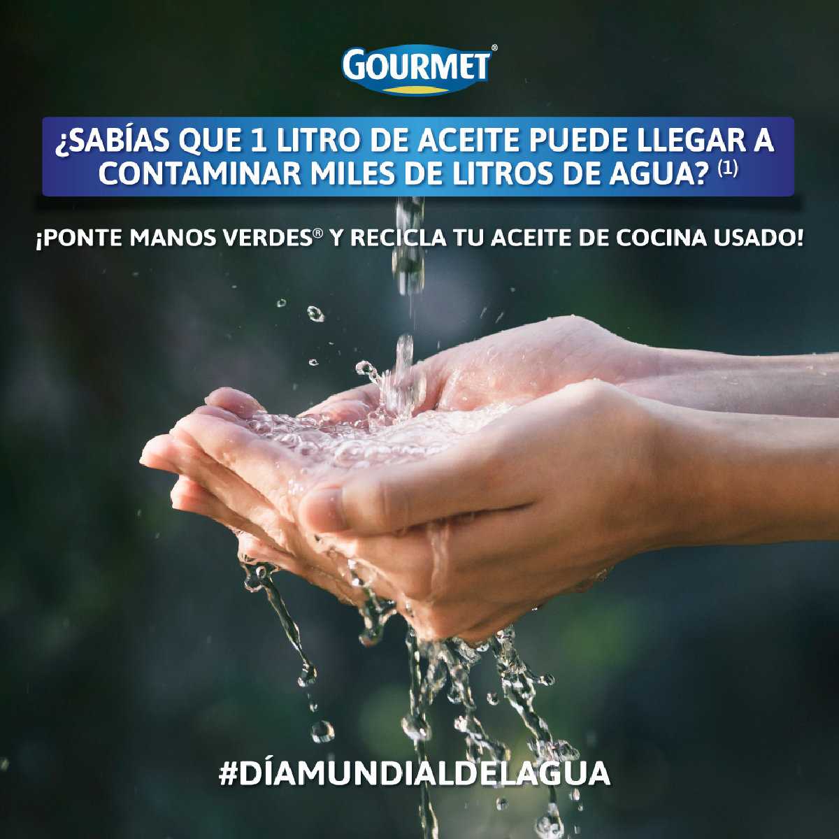 Día del agua